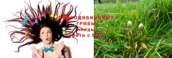 амф Алексеевка